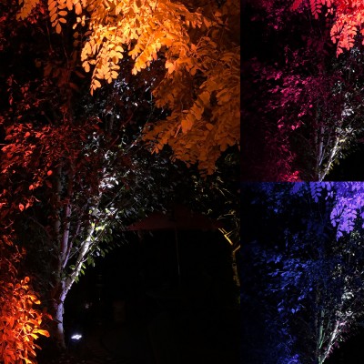 well-fit-wash-lights-1861-montage